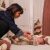 Mamma che gioca con figlio su tappeto giochi teddy